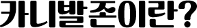 카니발존